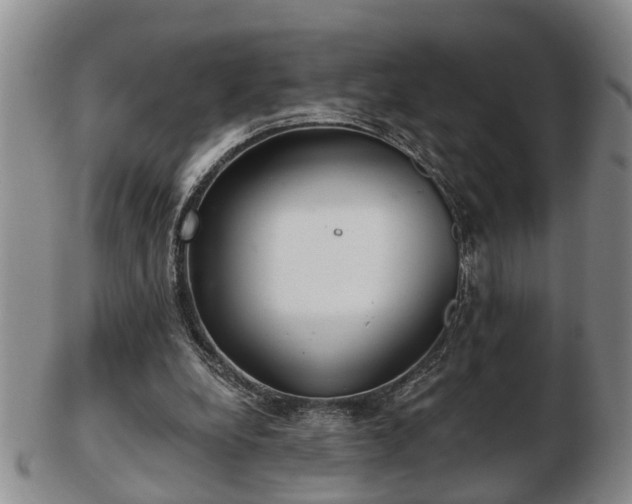 X0000103220248200809041009