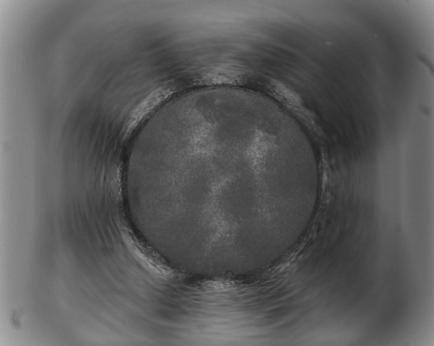 X0000103220250200809041009