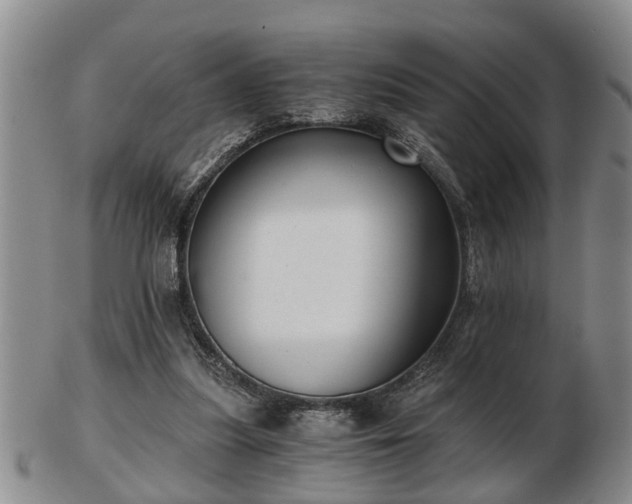 X0000103220251200809041009