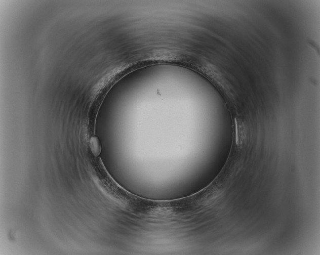 X0000103220252200809041009