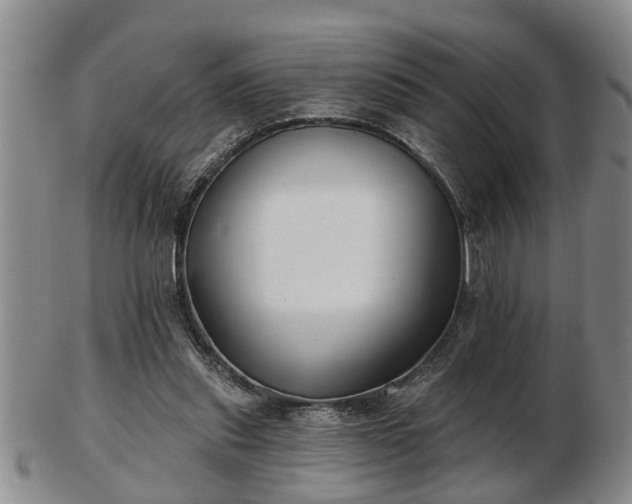 X0000103220253200809041009