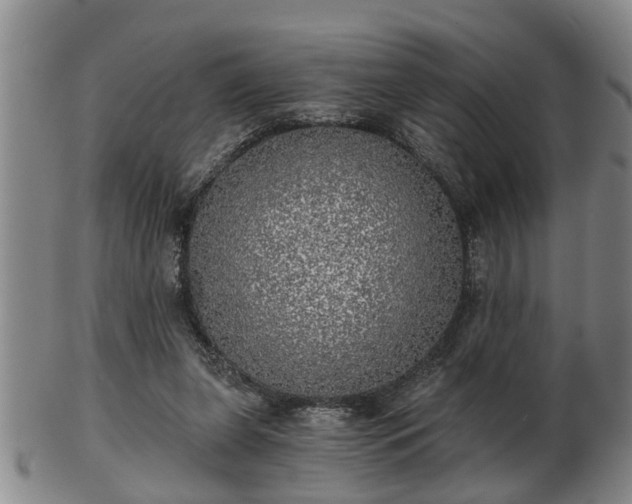 X0000103220255200809041009