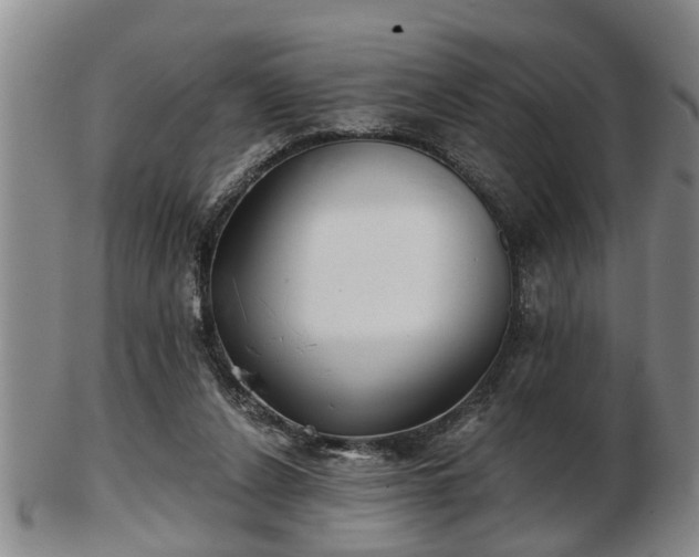 X0000103220256200809041009