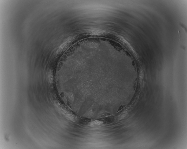 X0000103220257200809041009