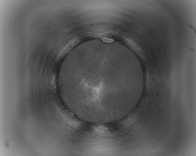 X0000103220258200809041009