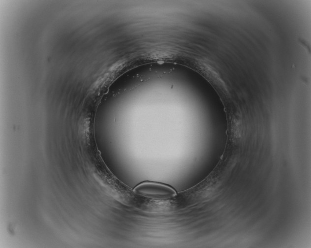 X0000103220260200809041009