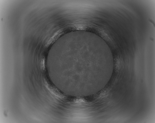 X0000103220262200809041009