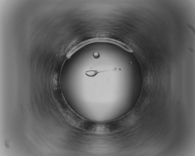 X0000103220264200809041009