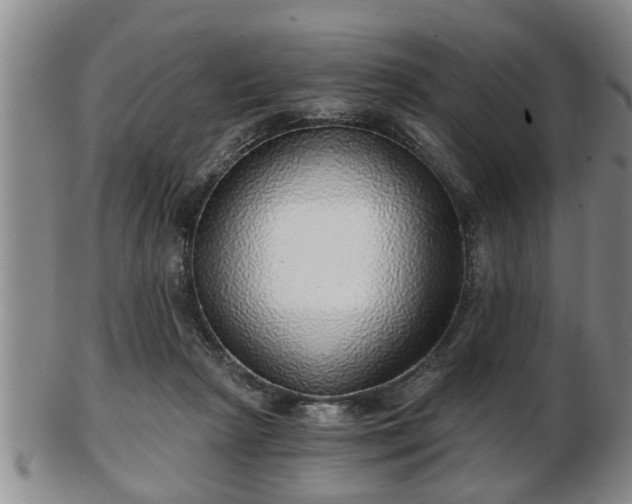 X0000103220265200809041009