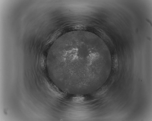 X0000103220266200809041009