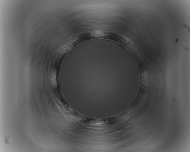 X0000103220267200809041009