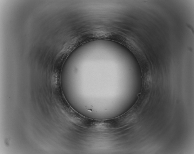 X0000103220268200809041009