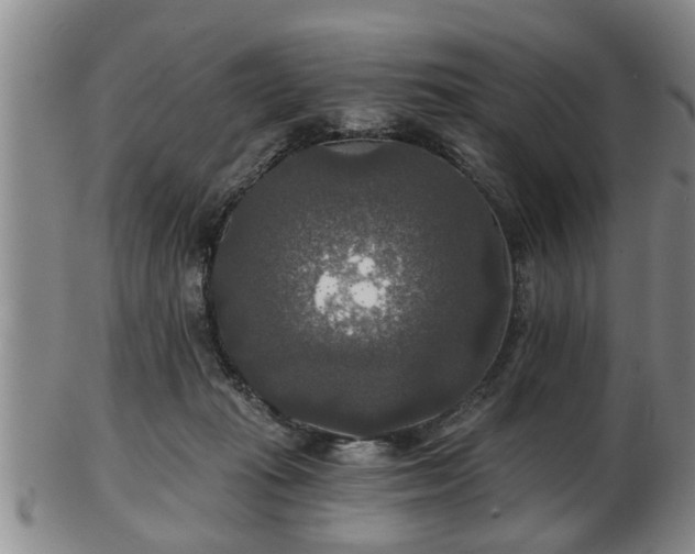 X0000103220269200809041009