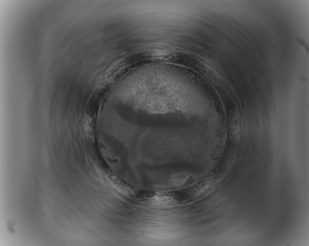 X0000103220270200809041009