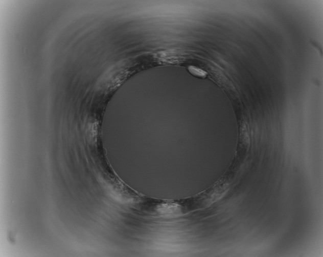 X0000103220271200809041009