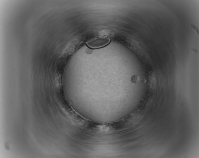 X0000103220272200809041009