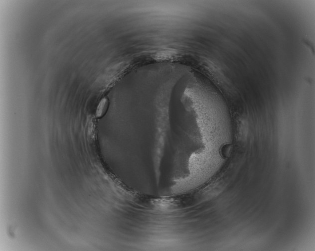 X0000103220273200809041009