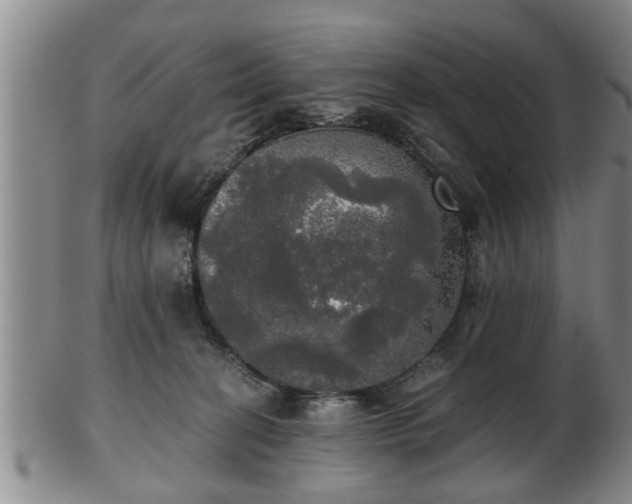 X0000103220274200809041009