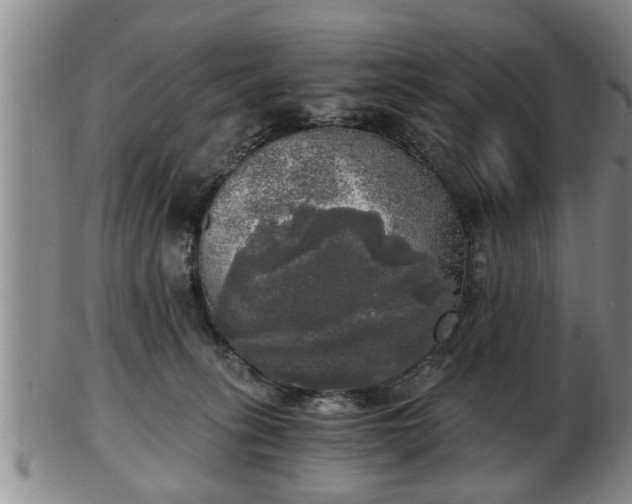 X0000103220275200809041009