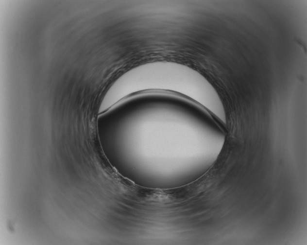 X0000103220276200809041009