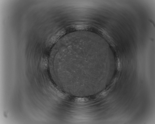 X0000103220277200809041009