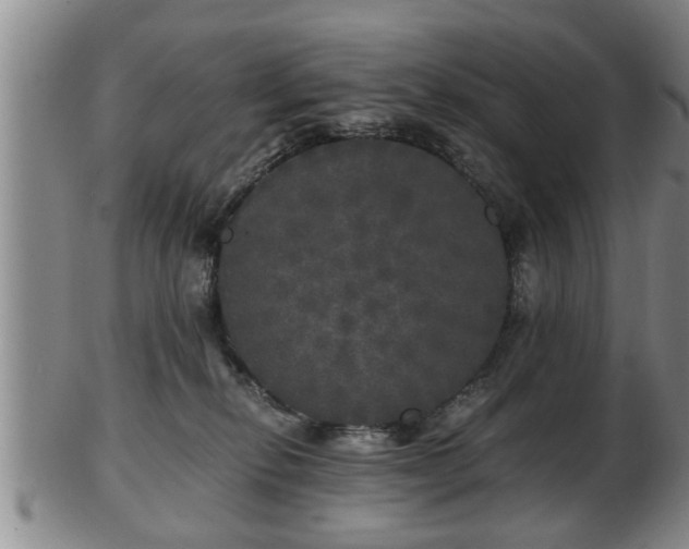 X0000103220278200809041009