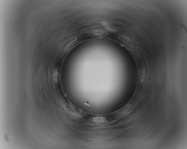 X0000103220279200809041009