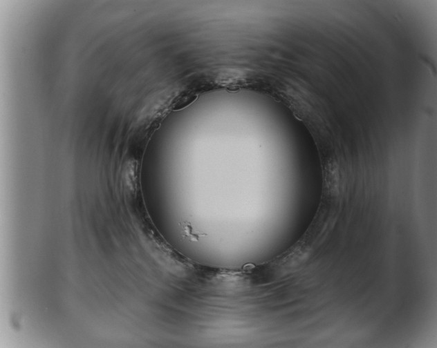 X0000103220280200809041009