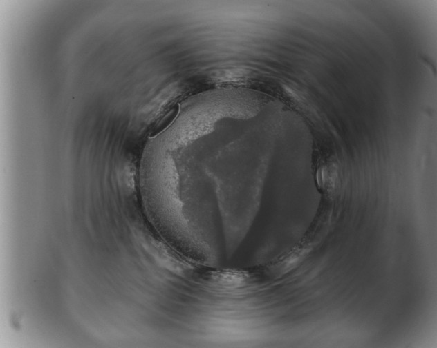 X0000103220282200809041009