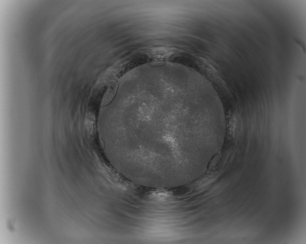 X0000103220283200809041009