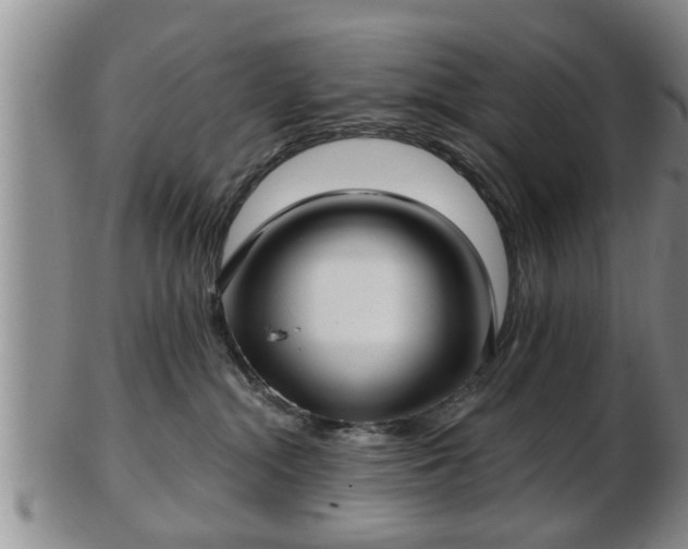 X0000103220284200809041009