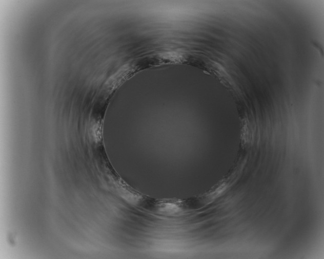 X0000103220285200809041009