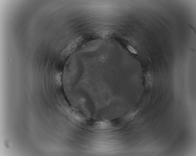 X0000103220286200809041009