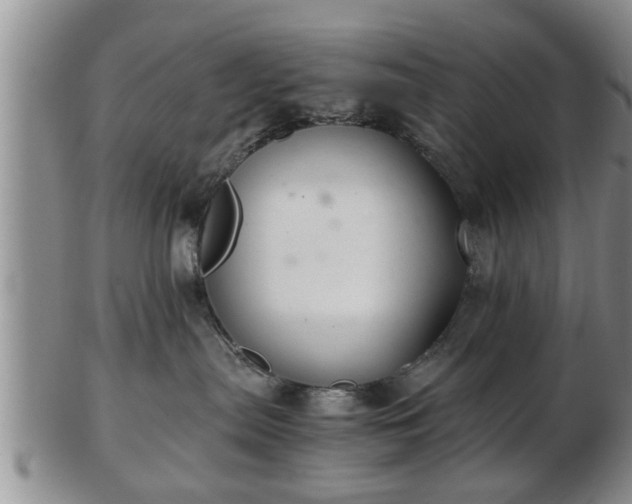 X0000103220287200809041009