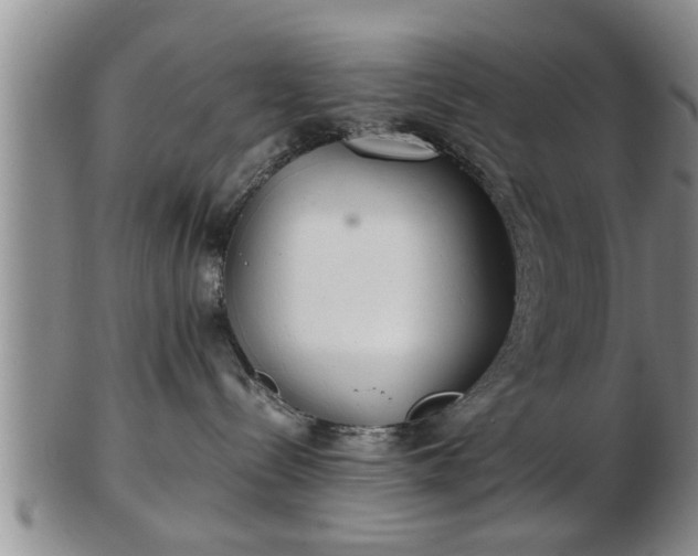 X0000103220288200809041009