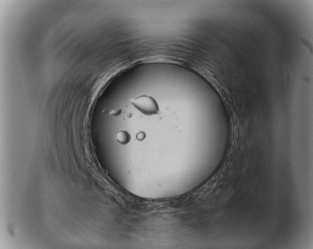 X0000103220289200809041008