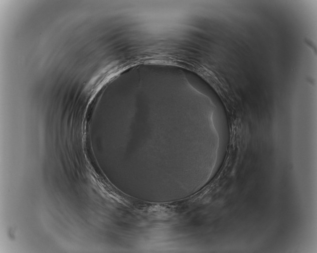 X0000103220290200809041008