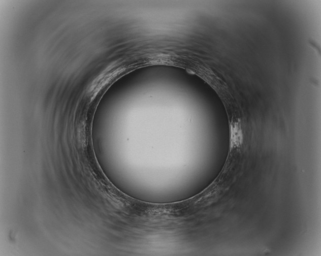 X0000103220291200809041008