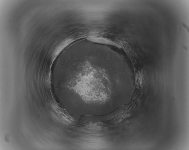 X0000103220292200809041008