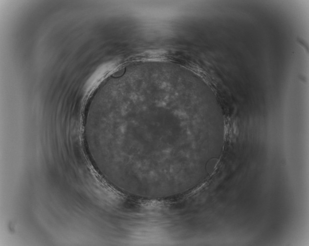 X0000103220293200809041008