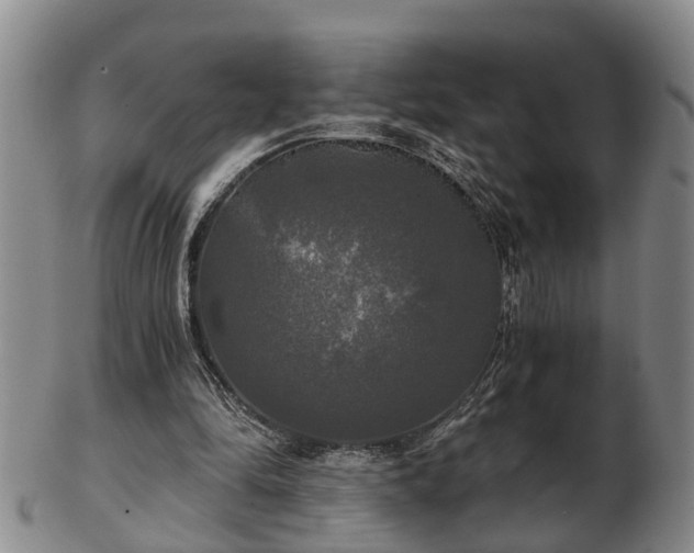 X0000103220294200809041008