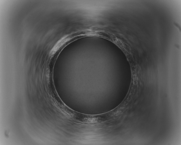 X0000103220295200809041008