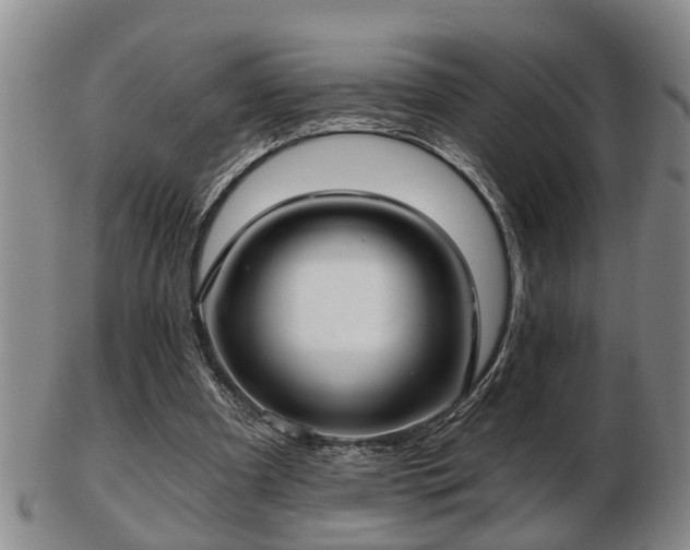 X0000103220297200809041008