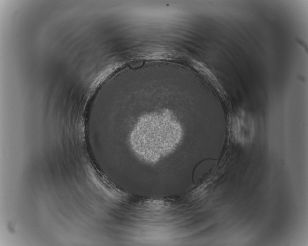 X0000103220298200809041008