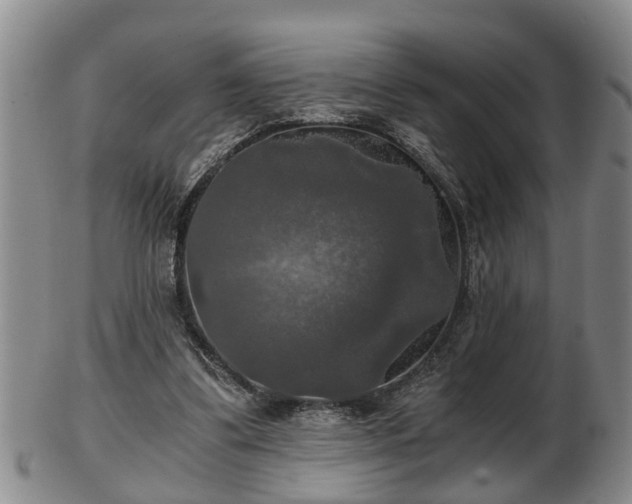 X0000103220299200809041008