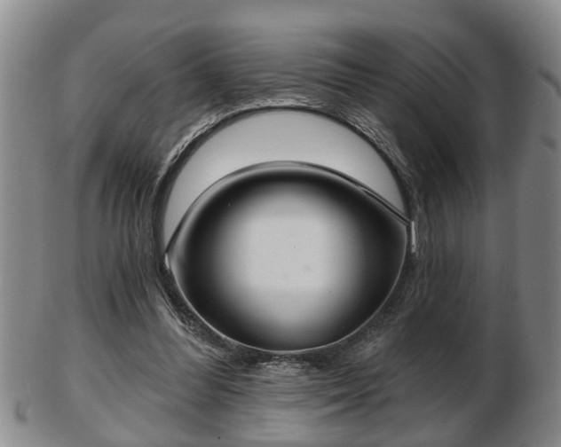 X0000103220300200809041008