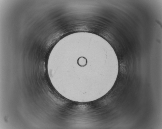 X0000103220302200809041008