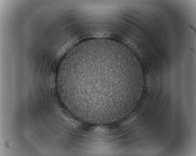 X0000103220303200809041008