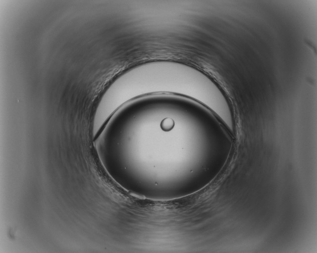 X0000103220305200809041008