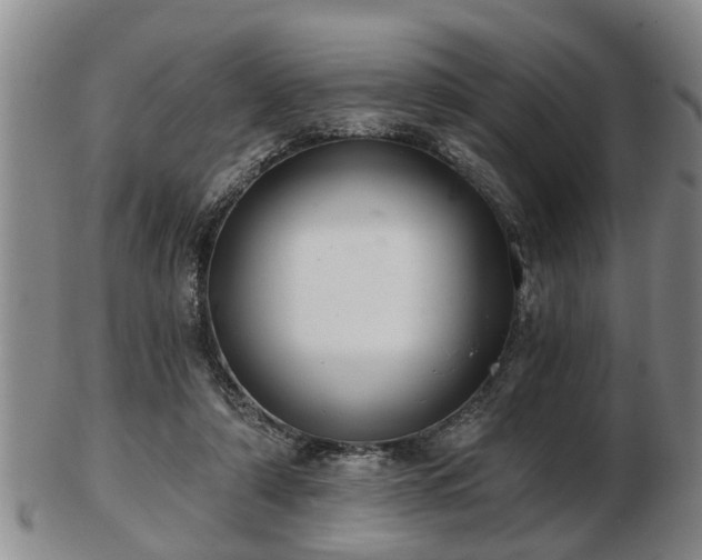 X0000103220306200809041008